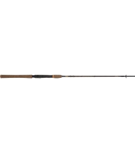 Amazon.com : Daiwa AIRX702MHFB Aird-X 10-20 lb Test Rod, Black